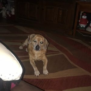 Meet your Posher, Jaden